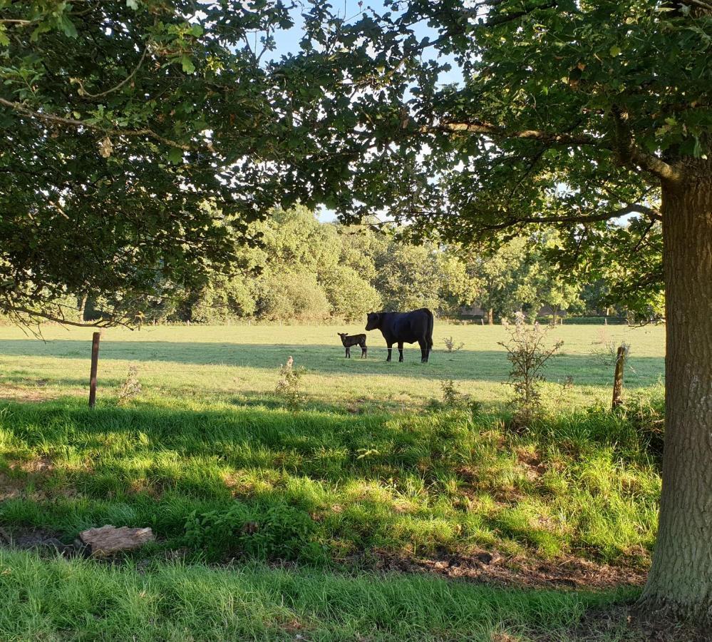 B&B De Scherpenhof Leur Bagian luar foto
