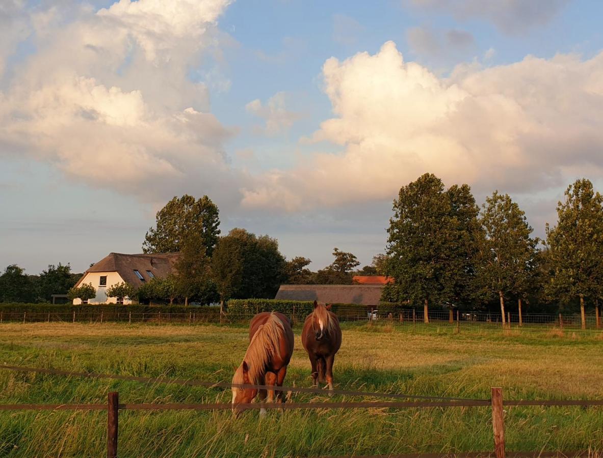 B&B De Scherpenhof Leur Bagian luar foto